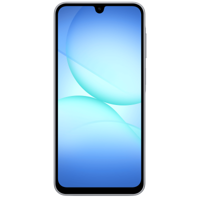 Смартфон Samsung Galaxy A17 8/256Gb ZAE Gray (7167598)