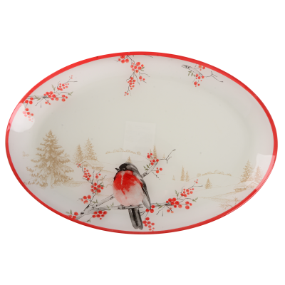 Блюдо Viva NY Winter Bird, 30х20 см (7109502)
