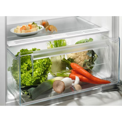 Холодильник Electrolux LRB3AE12S  (7203582)