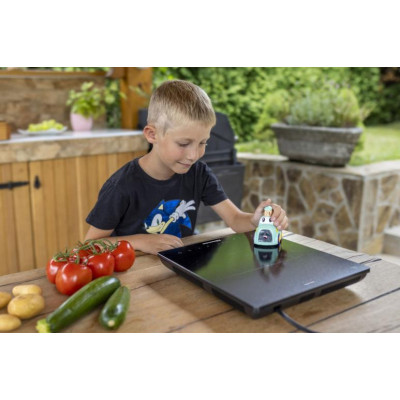 Індукційна плита Hisense HIC2000Y (7019626)