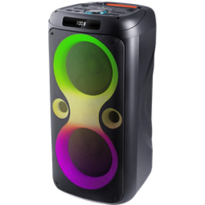 Портативна акустика Defender Boomer 100 100Вт Black (65099) (7202790)