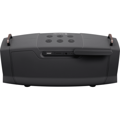 Портативна акустика Defender Beatbox 25 25Вт Black (65325) (7231348)