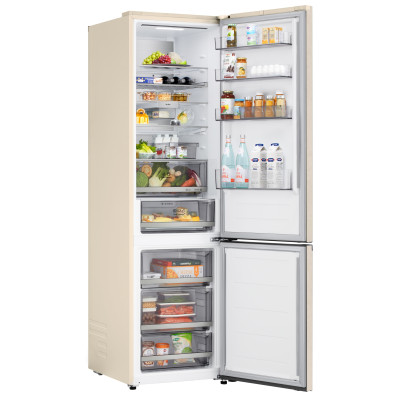 Холодильник LG GC-B509EEKM (7250274)