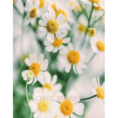 Фотоальбом UFO 10x15x200 PP-46200 Сute Daisies  (7227983)