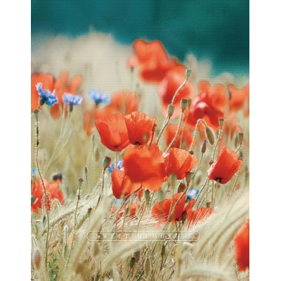 Фотоальбом UFO 10x15x200 PP-46200 Poppies  (7227984)