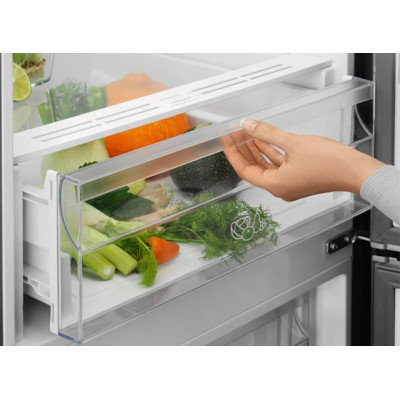 Холодильник Electrolux LNT5ME36U1 (7205164)