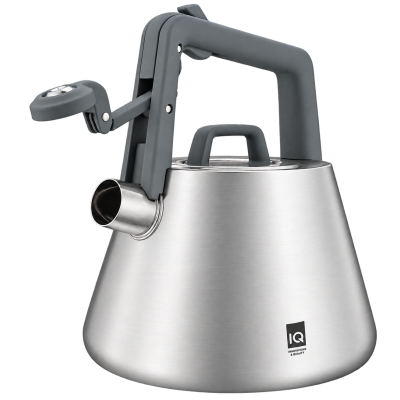 Чайник IQ Вe Chef (2.5 л)   (7262089)