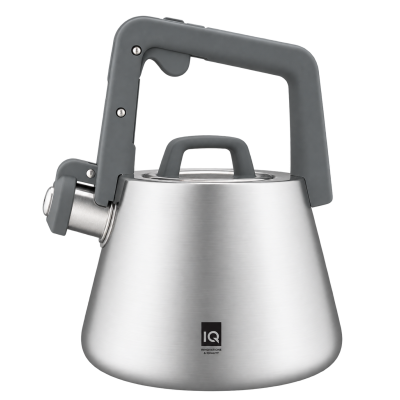 Чайник IQ Вe Chef (2.5 л)   (7262089)