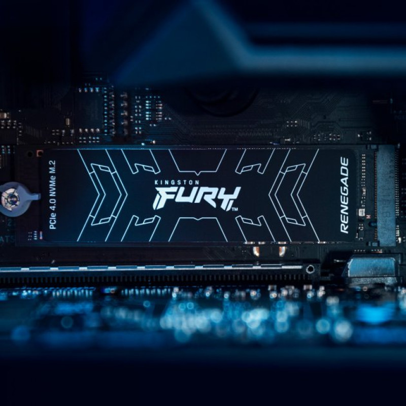 SSD накопичувач Kingston 500GB M.2 Fury Renegade NVMe 2280 (SFYRS/500G) (6790026)
