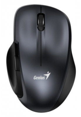 Миша Genius Ergo 8200S Iron Grey (6854853)