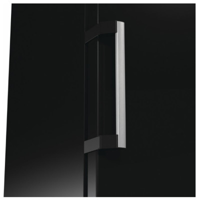 Морозильна камера Gorenje FN619EABK6 (6966157)