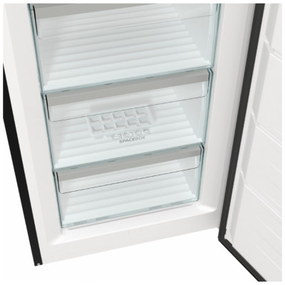 Морозильна камера Gorenje FN619EABK6 (6966157)