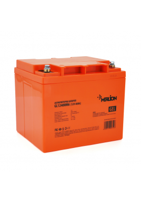 Акумуляторна батарея MERLION GL12400M6 12 V 40 Ah ( 198 x 165 x 170  ) Orange Q1