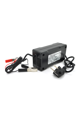 Зарядний пристрій Merlion для акумуляторів LiFePO4 24V(29,2V),8S,5A-120W