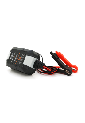 Автомобільне ЗУ BYGD, 6/12V, 220-240V, 1,5A, LED-індикація, клемми (AGM/GEL/Lead)