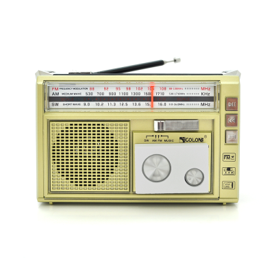 Радіоприймач GOLON RX382, LED, 3W, AM/FM радіо, Входи microSD, USB, AUX, живлення від 220В+2*LR20, корпус пластмас, Black/Gold, BOX