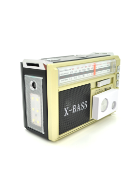 Радіоприймач GOLON RX381BT, LED, 3W, AM/FM радіо, Входи microSD, USB, Bluetooth, живлення від 220+АКБ+2*LR20, корпус пластмас, BOX