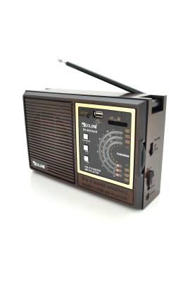 Радіоприймач GOLON RX9933UAR, 6W, AM/FM радіо, Вхід microSD, USB, живлення від 220+АКБ+4*LR20, корпус пластмас, Black/Brown, BOX