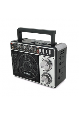 Радіо з ліхтариком Knstar KN-1030BT, FM/AM/SW радіо, Вхід: SDMMC, USB, Mix color, Box