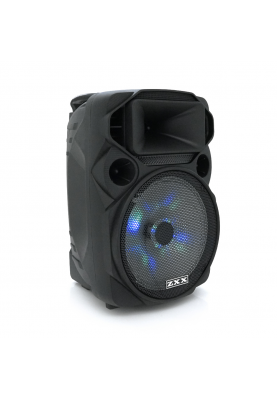 Потужна акустична система з підсвічуванням ZXX-1209, 30W, Bluetooth мікрофон, вбудований акум 2600mAh, живлення 220В, Black, Box