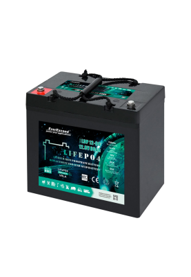 Акумуляторна батарея EVEREXCEED LiFePO4 12,8V 60Ah