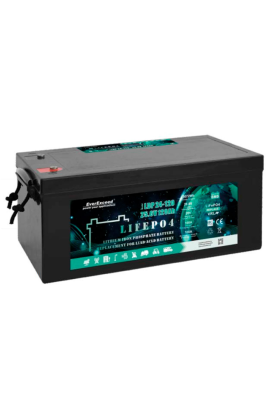 Акумуляторна батарея EVEREXCEED LiFePO4 24V 100Ah