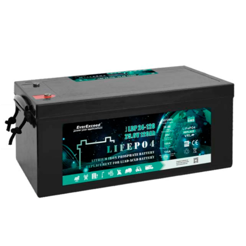 Акумуляторна батарея EVEREXCEED LiFePO4 24V 100Ah