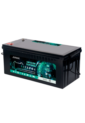 Акумуляторна батарея EVEREXCEED LiFePO4 12,8V 200Ah