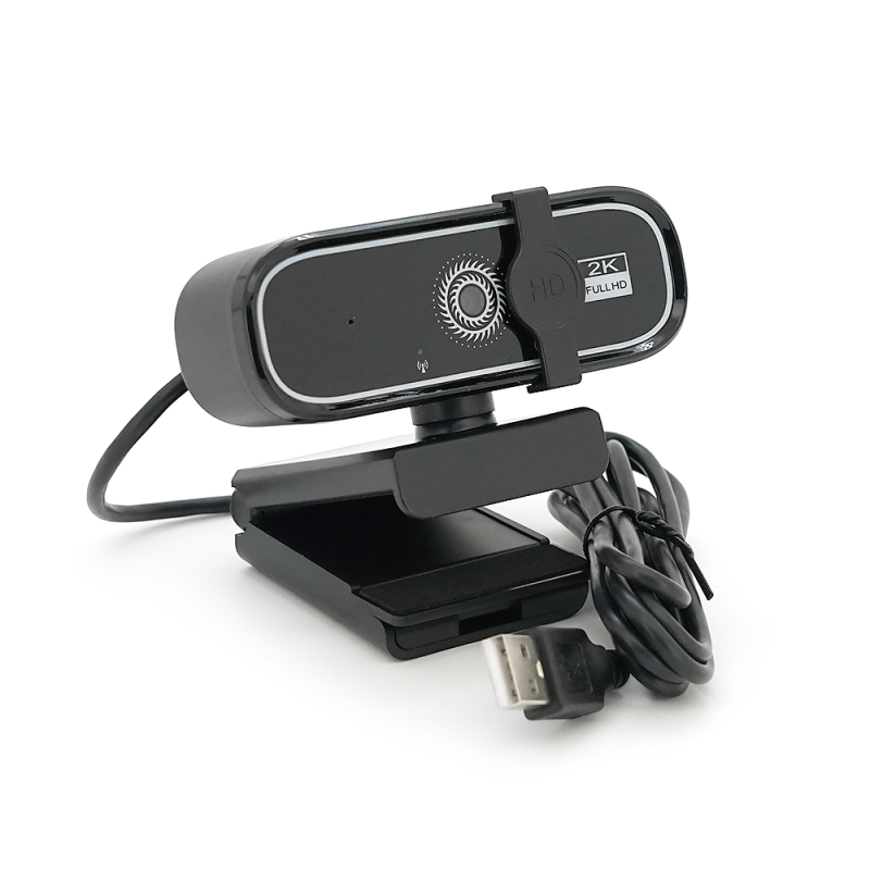 Вебкамера з гарнітурою Q1, 720p, автофокус, пласт. корпус, Black/Silver, Q100