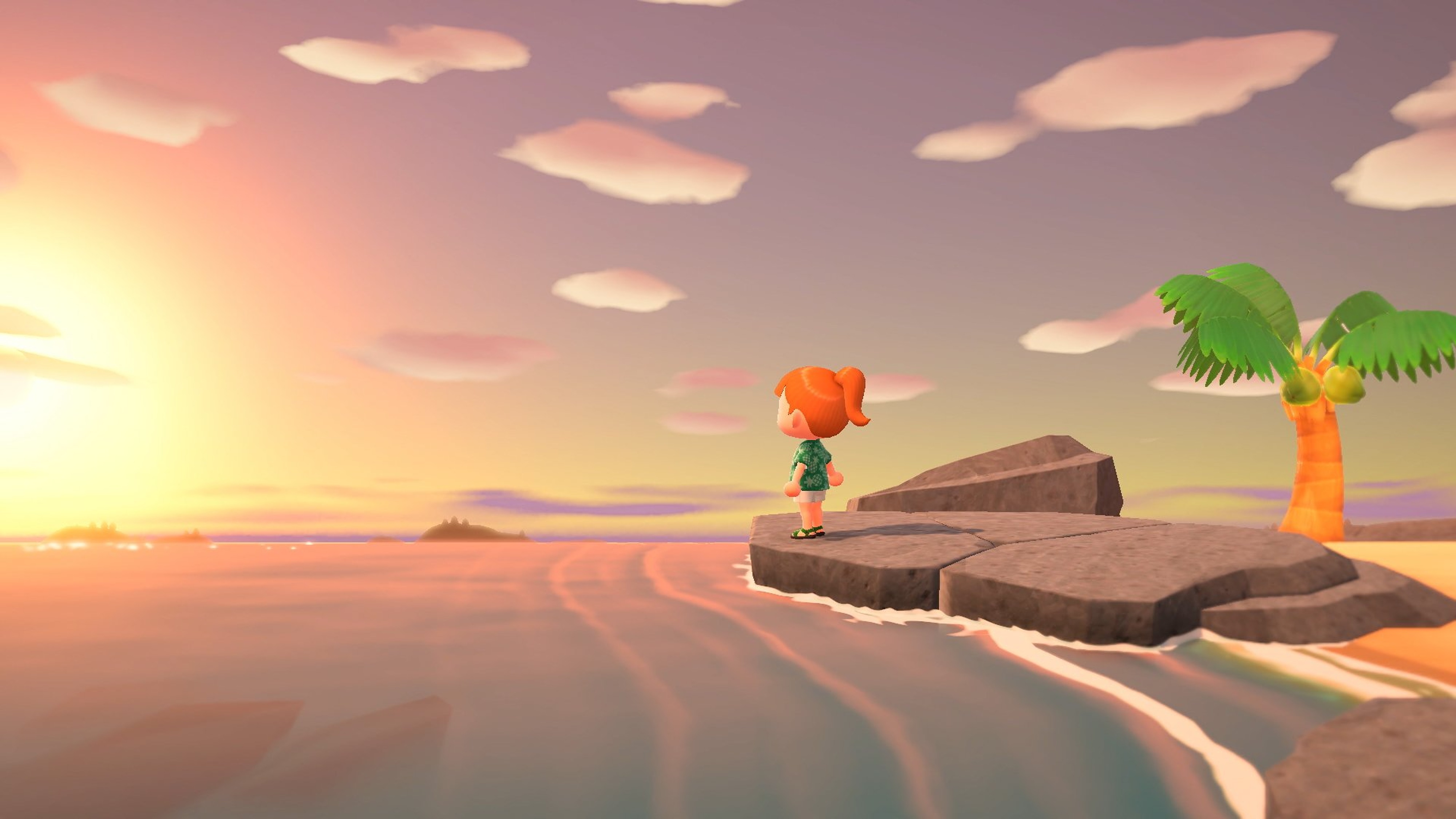 Games Software Animal Crossing: New Horizons (Switch)