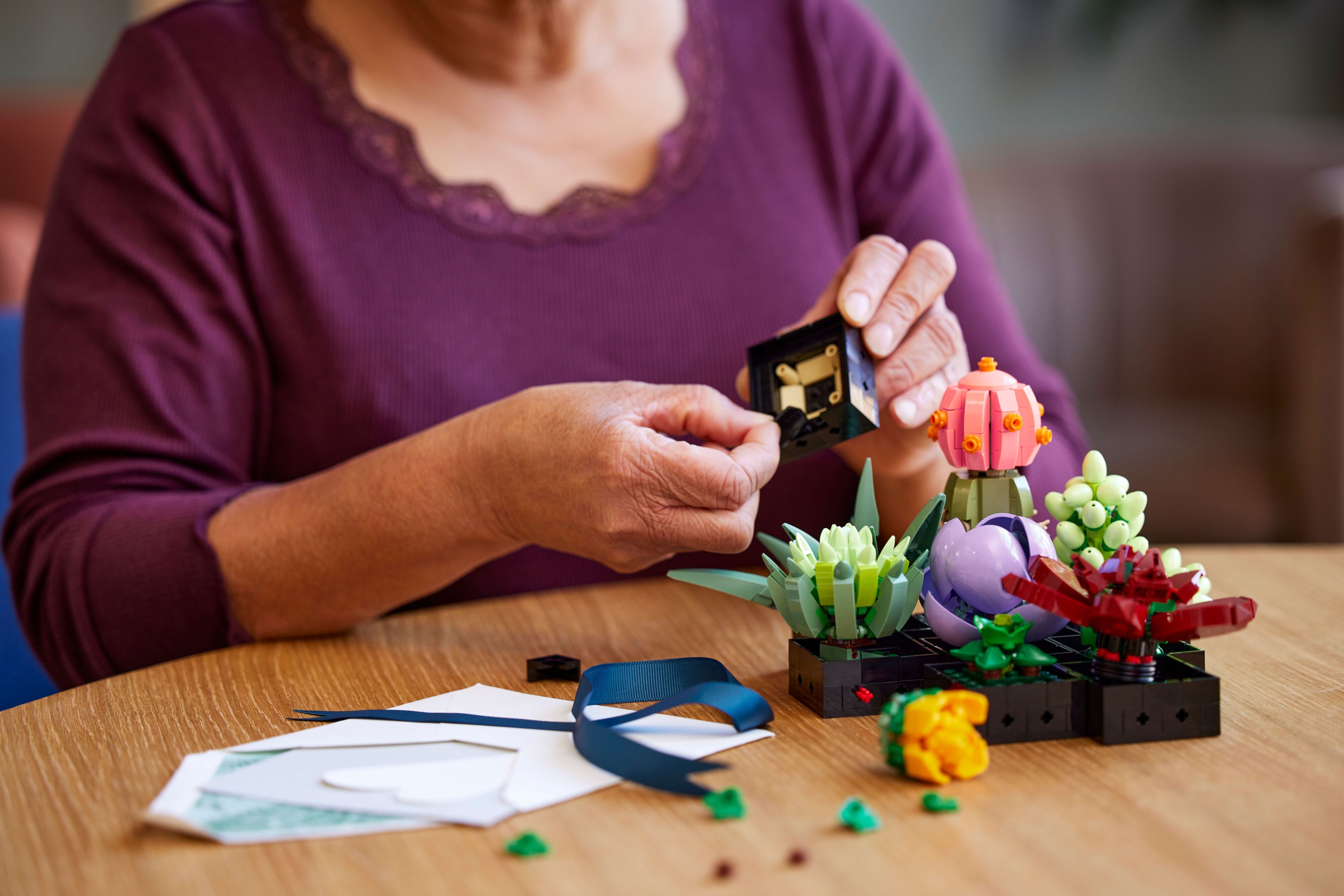 LEGO Конструктор LEGO Botanicals Сукуленті LEGO Конструктор LEGO Botanicals Сукуленті