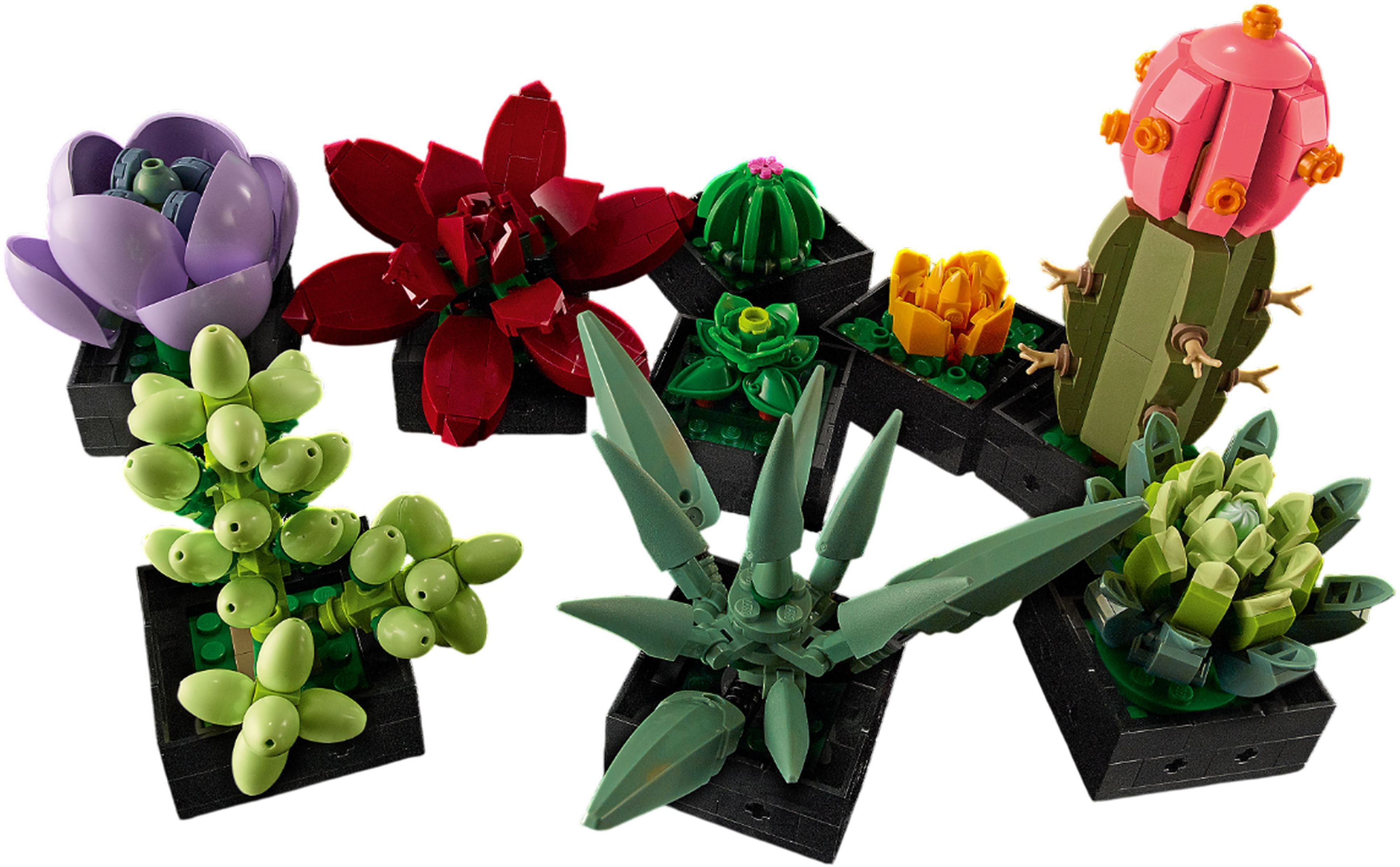 LEGO Конструктор LEGO Botanicals Сукуленті LEGO Конструктор LEGO Botanicals Сукуленті