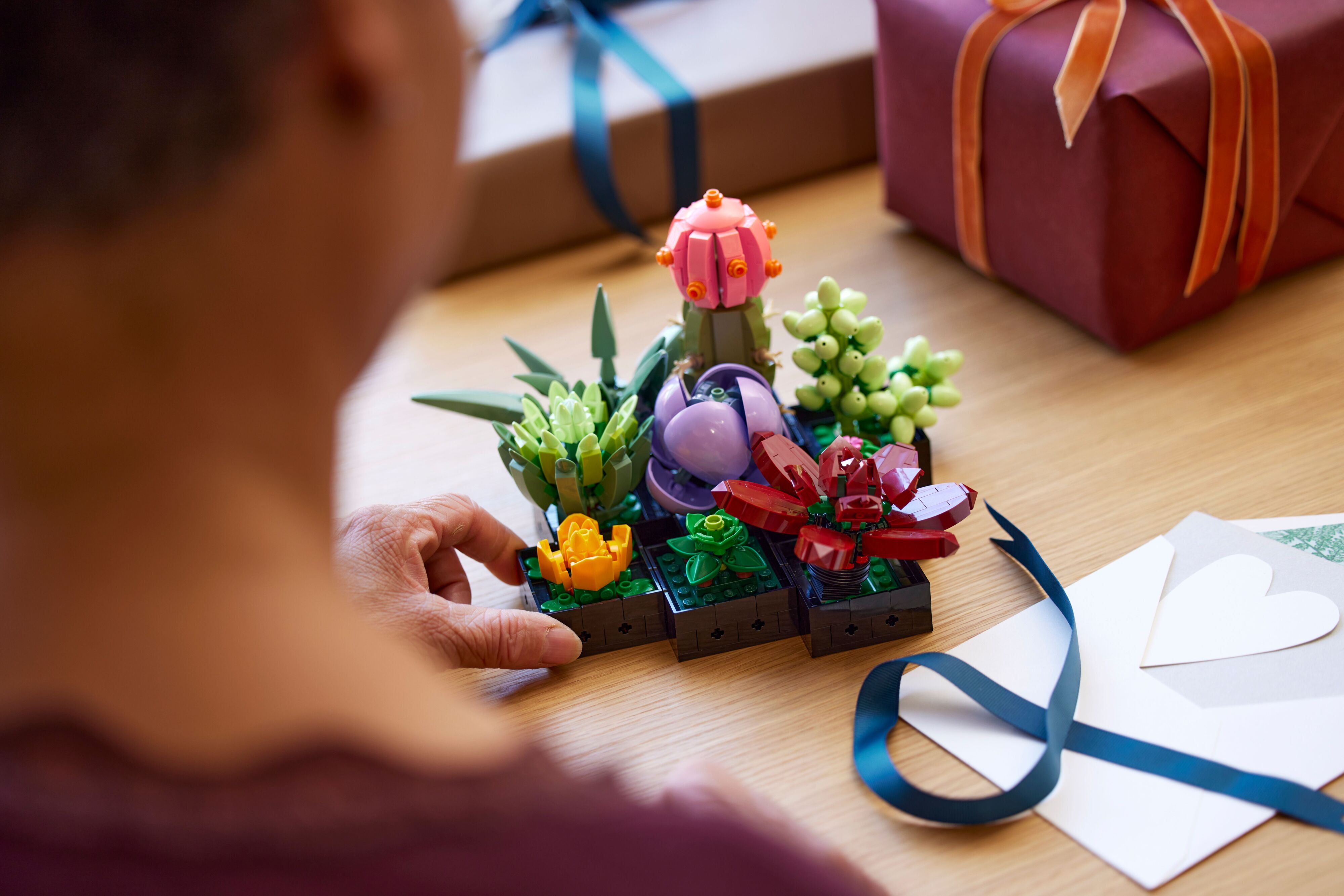 LEGO Конструктор LEGO Botanicals Сукуленті LEGO Конструктор LEGO Botanicals Сукуленті