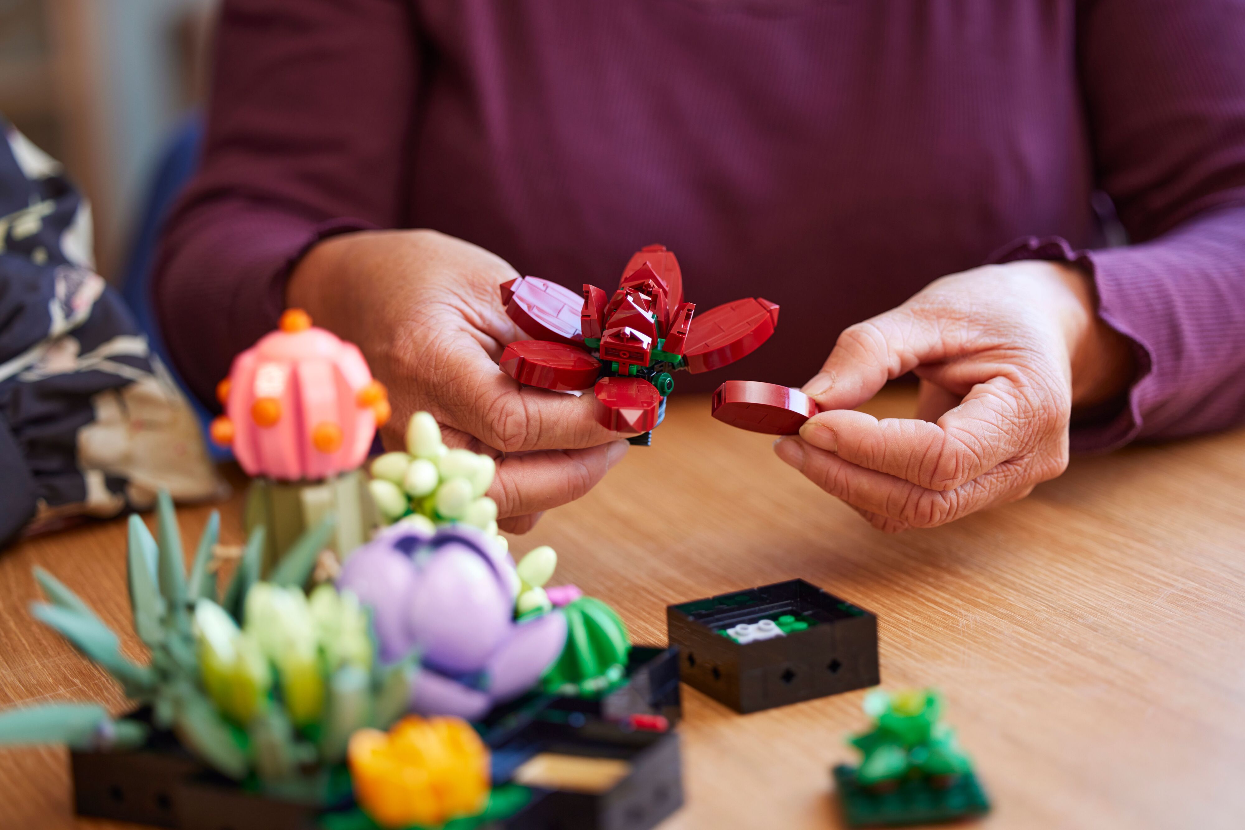 LEGO Конструктор LEGO Botanicals Сукуленті LEGO Конструктор LEGO Botanicals Сукуленті