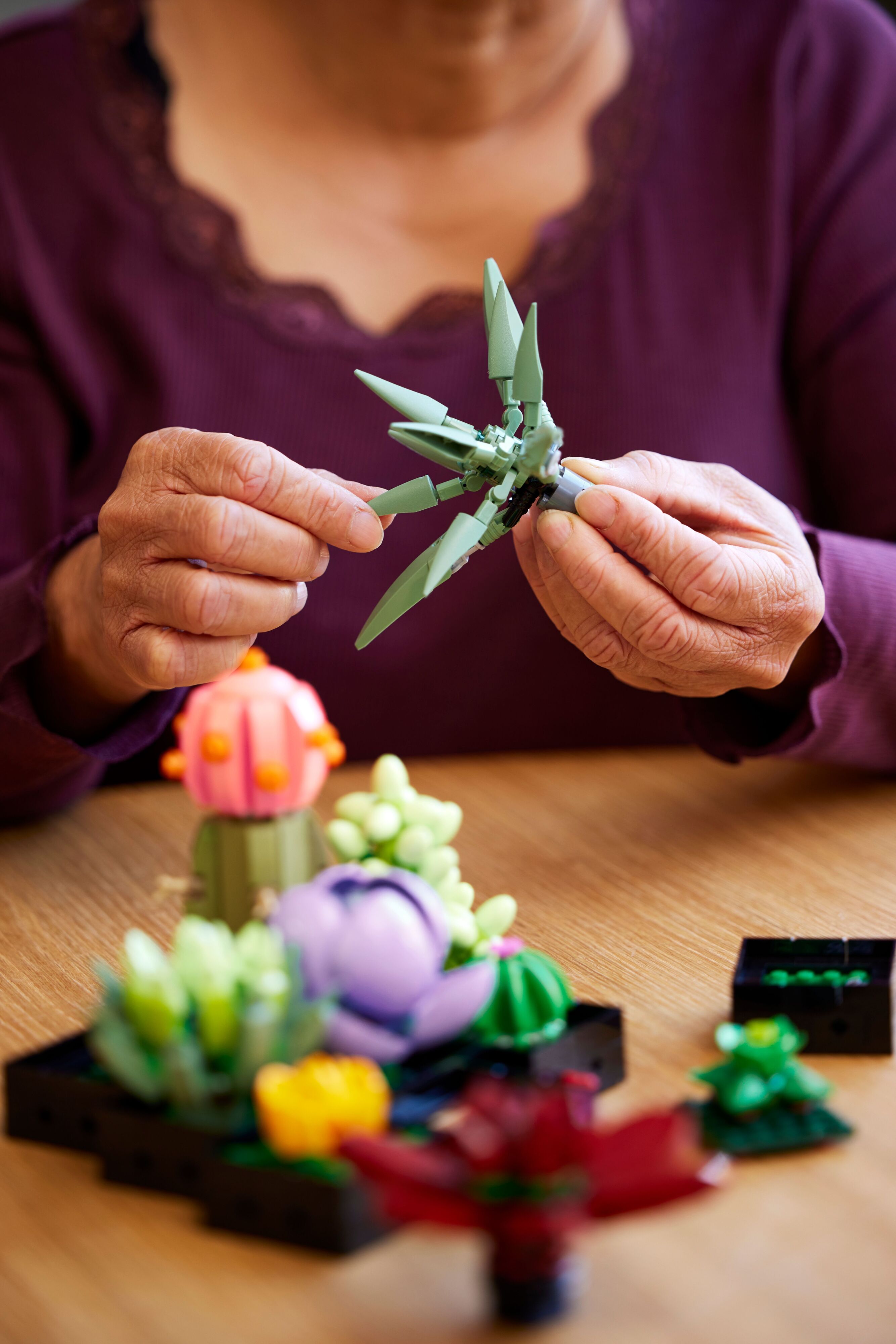 LEGO Конструктор LEGO Botanicals Сукуленті LEGO Конструктор LEGO Botanicals Сукуленті