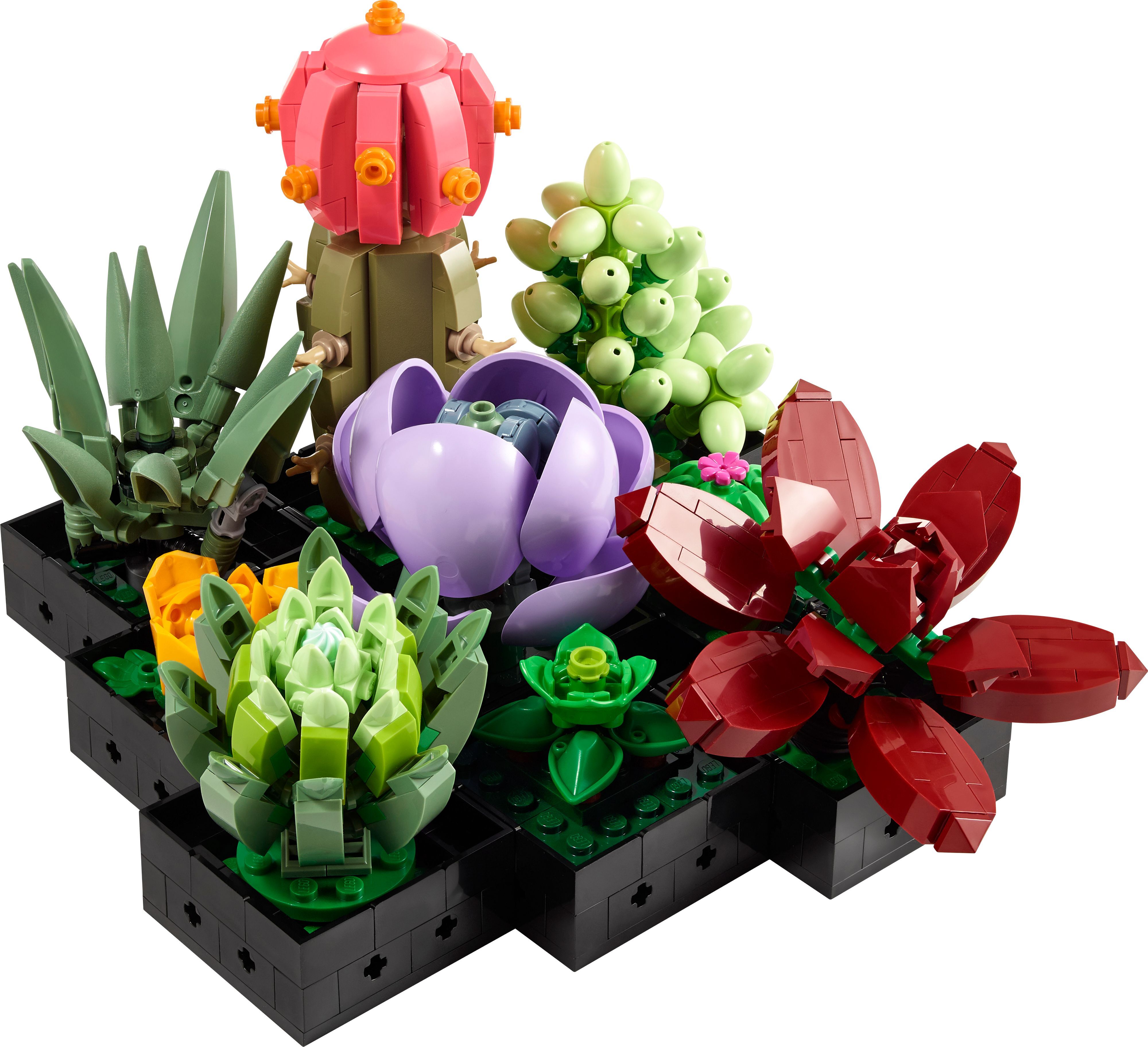LEGO Конструктор LEGO Botanicals Сукуленті