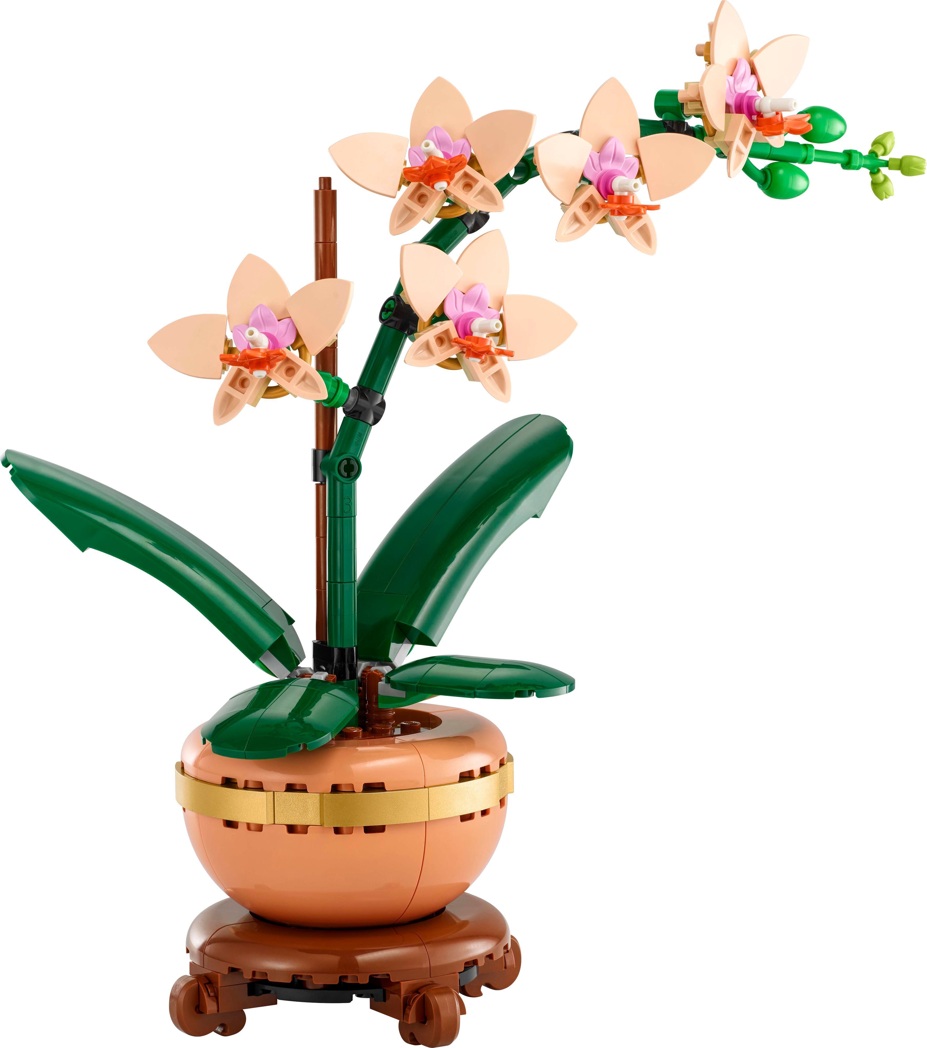 LEGO Конструктор Botanicals Міні орхідея