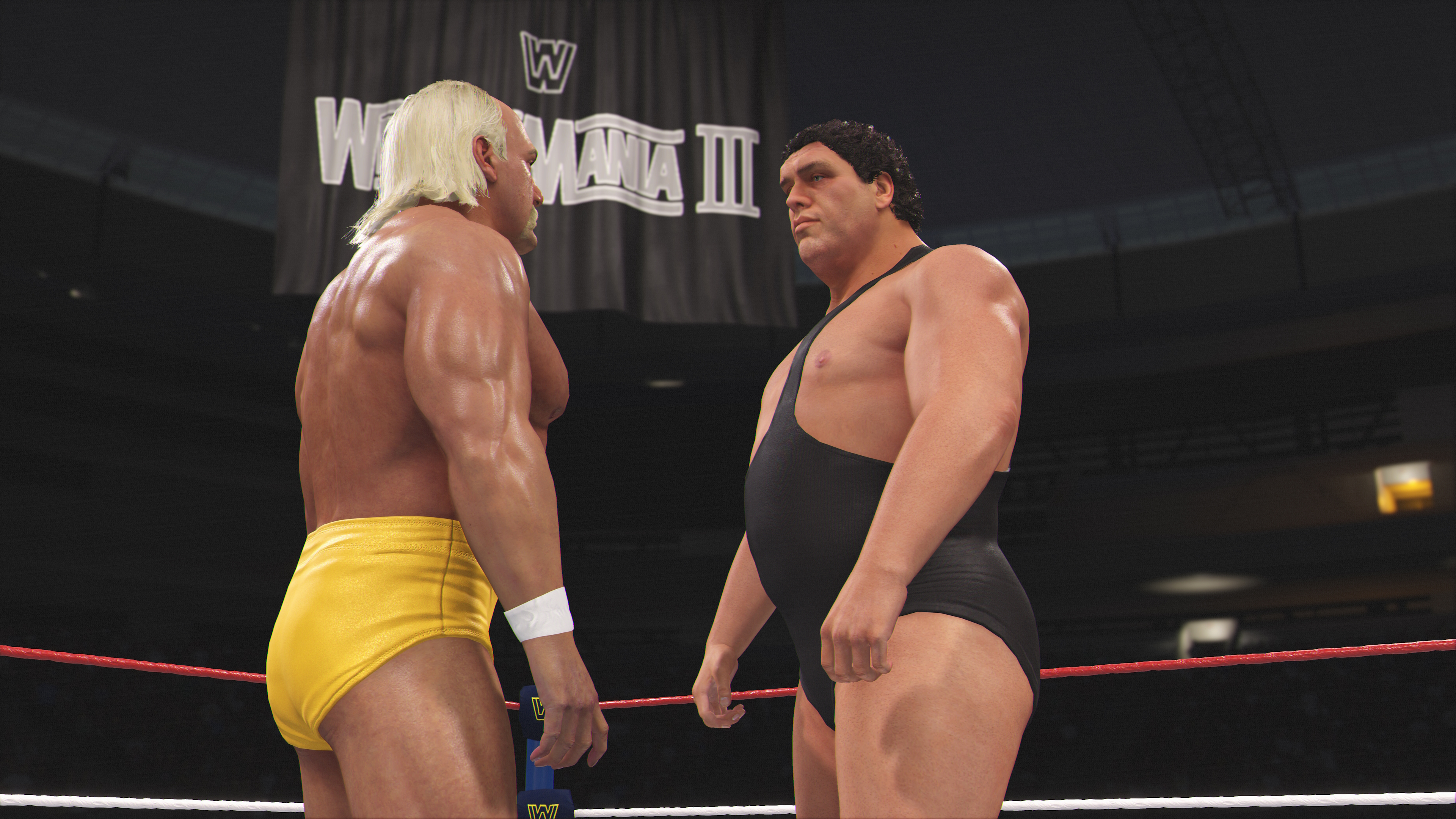 Games Software WWE 2K24 [BD диск] (PS4)