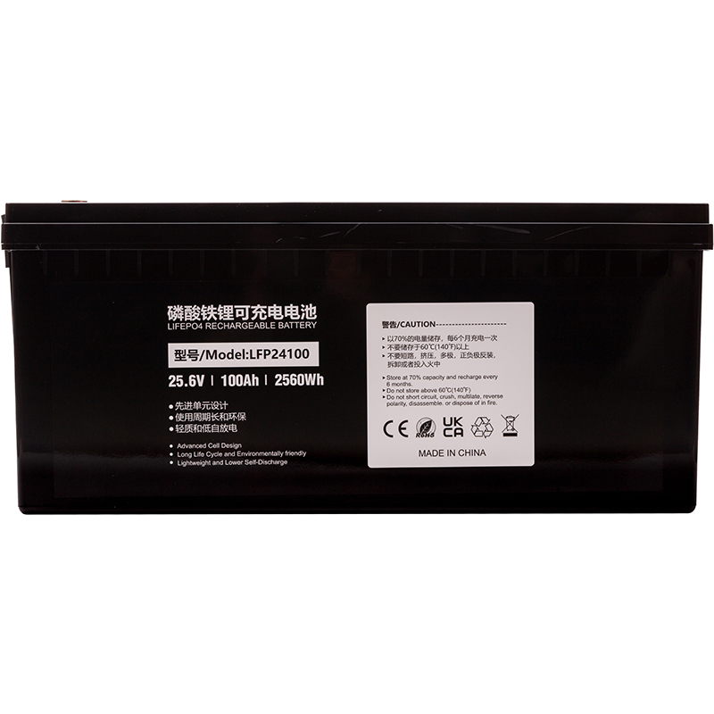 Акумулятор PowerPlant LiFePO4 24V 100Ah (LFP24100) (NV822447)