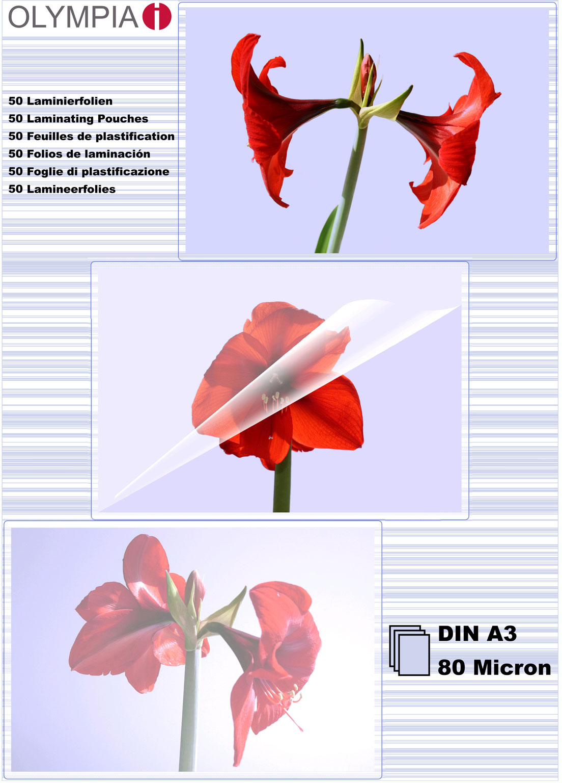 Плівка для ламінування Olympia Laminating Pouches, A3, 80 Mic 50 pcs (913544)